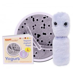 GIANTMICROBES YOGURT (Lactobacillus Bulgaricus)