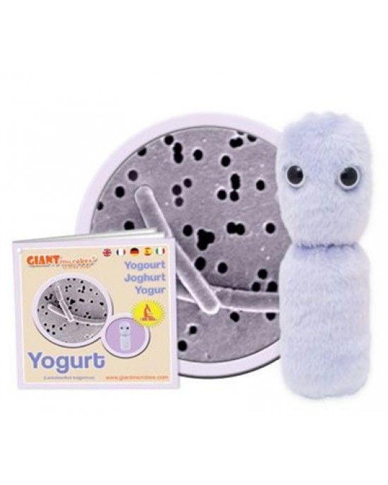 GIANTMICROBES YOGURT (Lactobacillus Bulgaricus)
