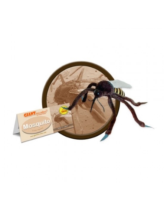GIANTMICROBES ZANZARA Mosquito