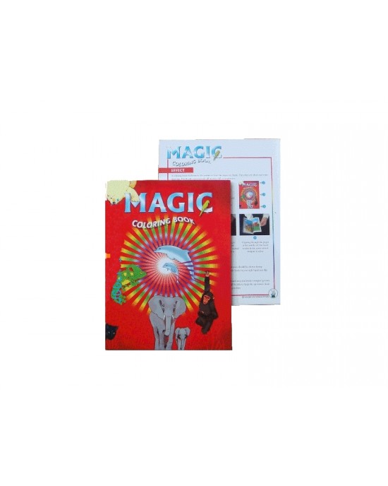 LIBRO INCANTATO MAGICO PICCOLO