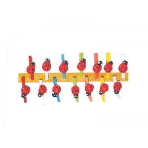 MINI MOLLETTA COCCINELLA SET DI 24 pezzi