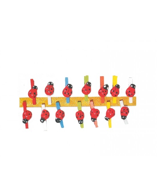 MINI MOLLETTA COCCINELLA SET DI 24 pezzi