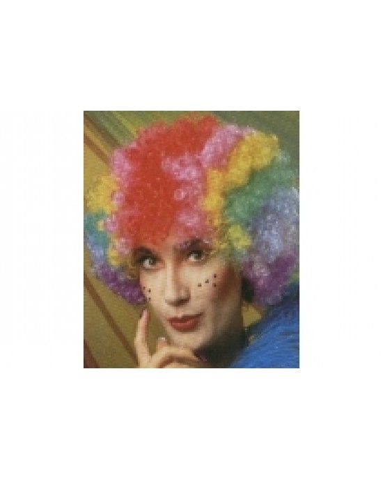 PARRUCCA CLOWN MULTICOLOR MAXI ADULTO
