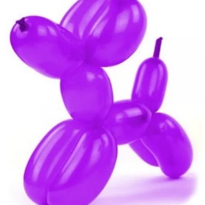 Palloncini Modellabili