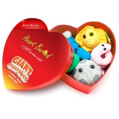 Confezione Regalo Peluche