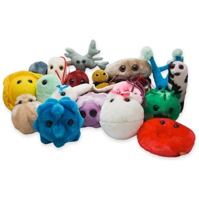 Peluche Salute e Disturbi Comuni