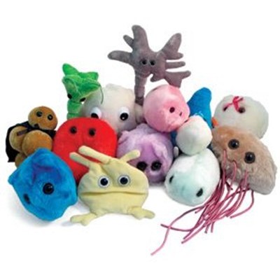 Peluche Cellule e Organi