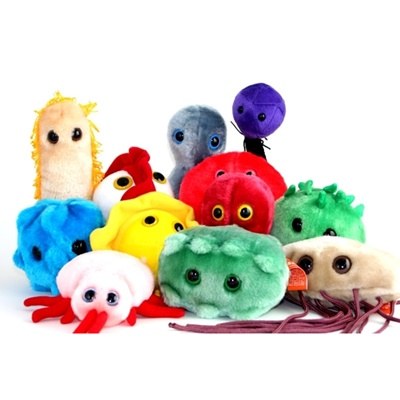 Peluche Animali e Altri Organismi